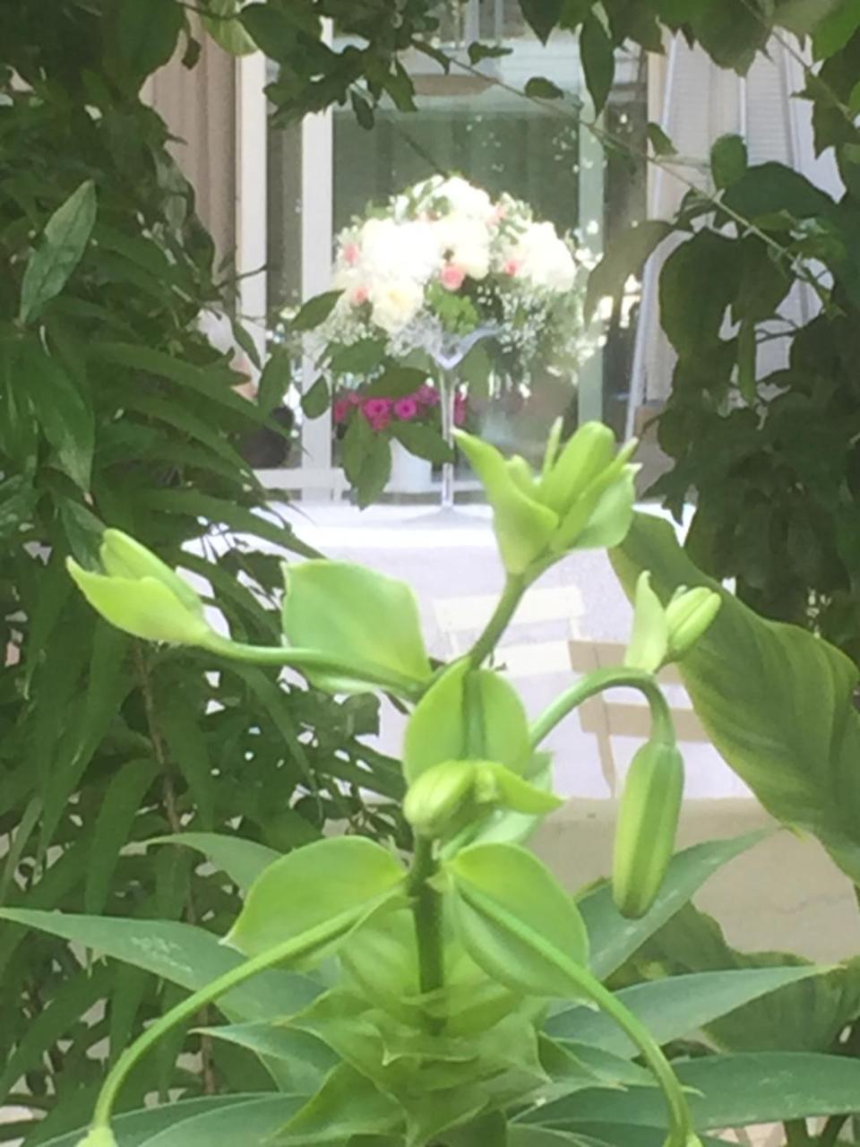 FEMily B&B Bed&Breakfast di Puglia in - Bari Grumo Appula Esterno foto